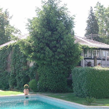 Casa Da Quinta De S. Martinho Hotel Vila Real Bagian luar foto